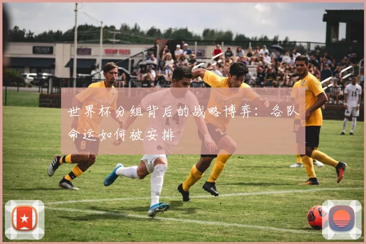 世界杯分组背后的战略博弈：各队命运如何被安排