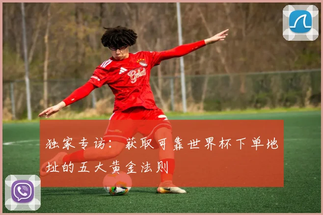 独家专访：获取可靠世界杯下单地址的五大黄金法则
