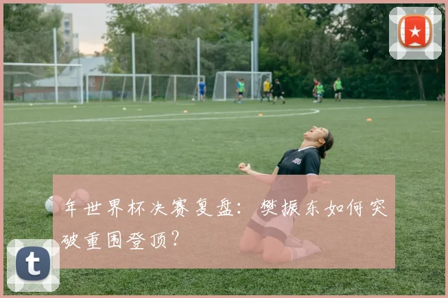 年世界杯决赛复盘：樊振东如何突破重围登顶？